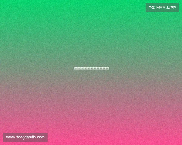 中国汽车赛事协会、中国汽车赛事在哪里可以看到？