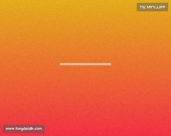 德国甲组联赛赛事—德国甲组联赛激情赛事中心全方位追踪每场精彩对决球队风云