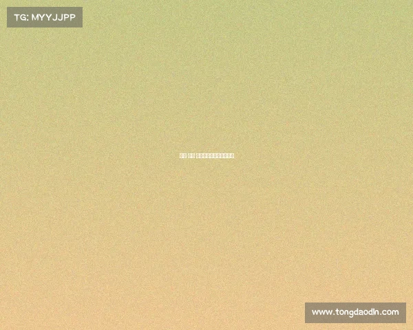 恒大 上港 赛事、恒大上港在线直播