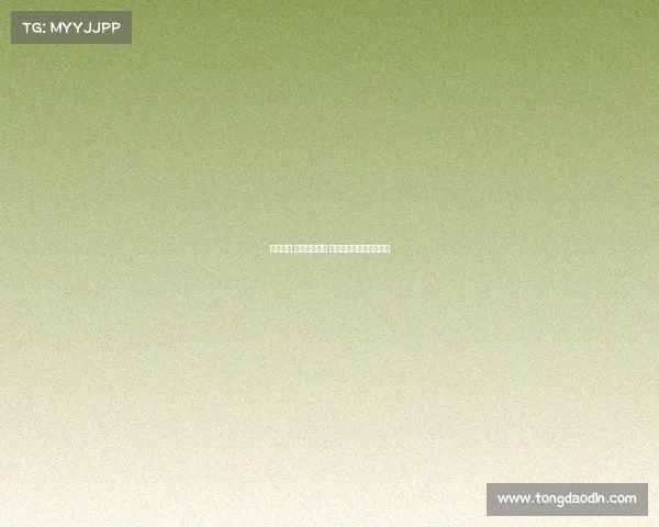 约治赛事,聚焦约治赛事 激情拼搏共铸卓越新篇章